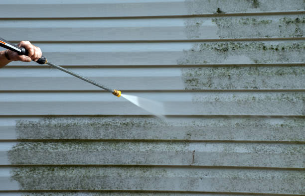 Best Deck Cleaning Services  in Raymond, IL