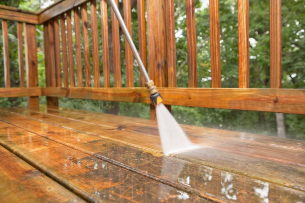 Best Roof Pressure Washing  in Raymond, IL