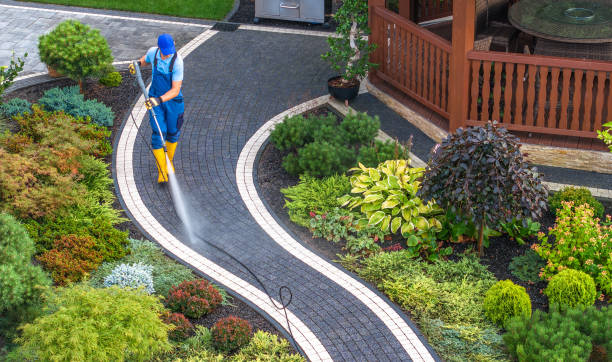 Best Power Washing Near Me  in Raymond, IL